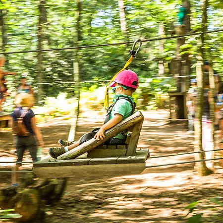 La Maison De L'orbiere 3* Forcé