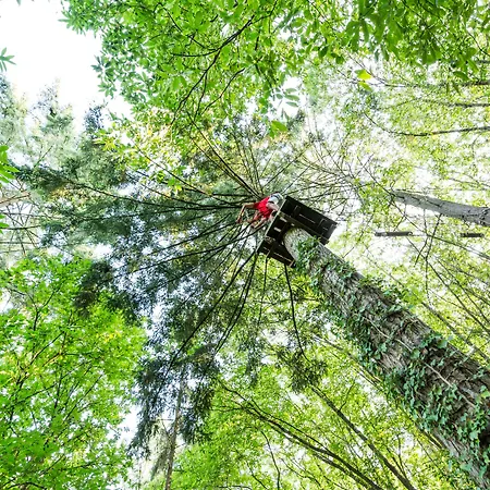 La Maison De L'orbiere Forcé