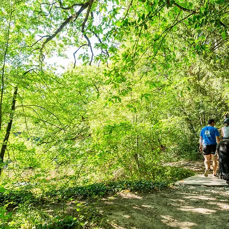 La Maison De L'orbiere 3*