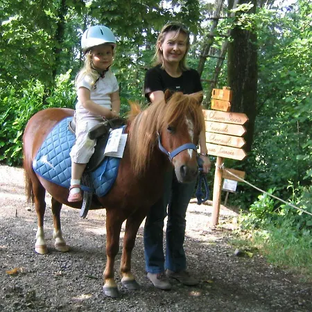 B&B La Maison De L'orbiere