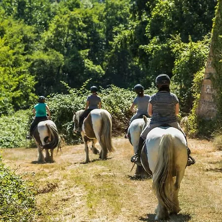 La Maison De L'orbiere B&B Forcé