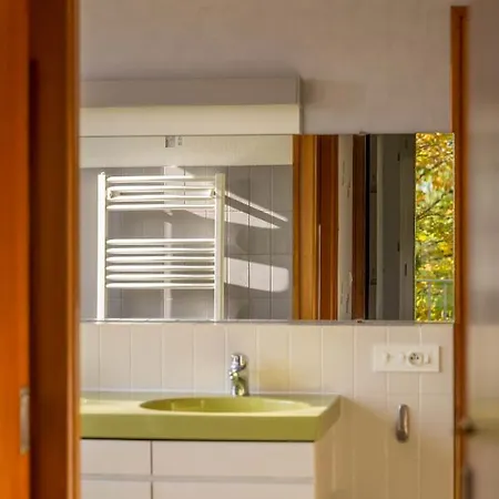 La Maison De L'orbiere Forcé