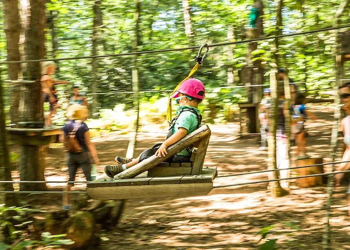 La Maison De L'orbiere 3* Forcé