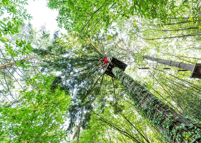 La Maison De L'orbiere Forcé