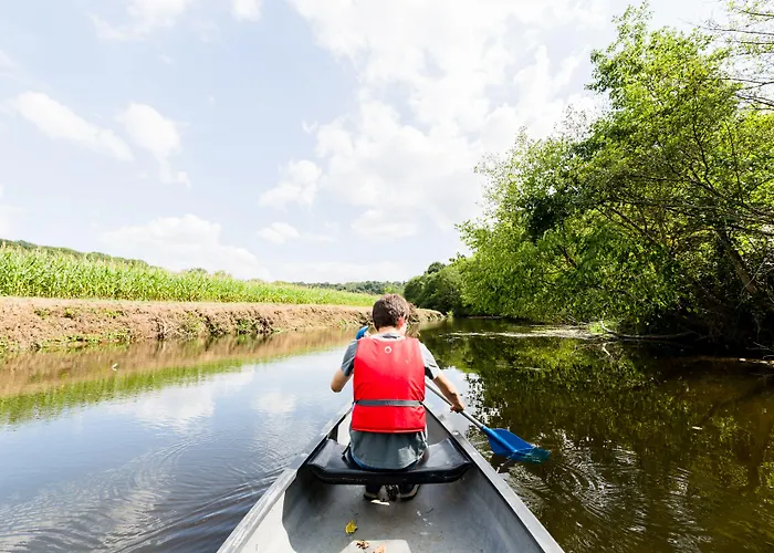 Oda ve Kahvaltı La Maison De L'orbiere Forcé