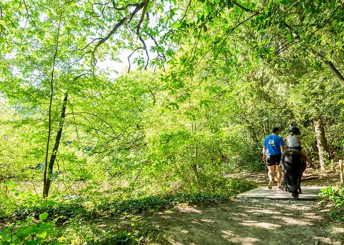 La Maison De L'orbiere 3*