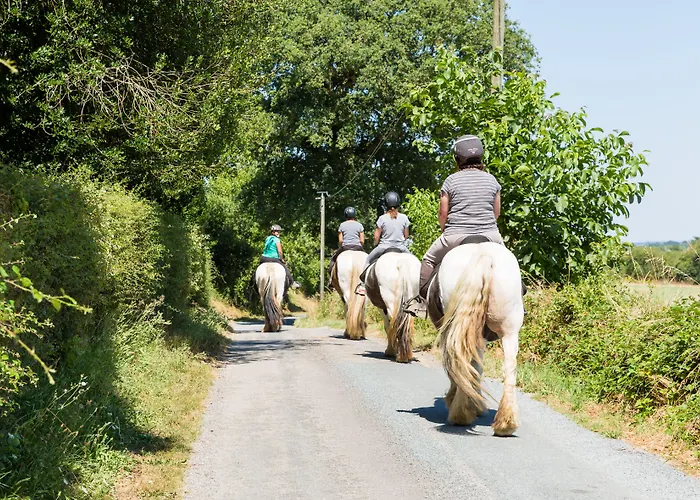 La Maison De L'orbiere 3* Forcé