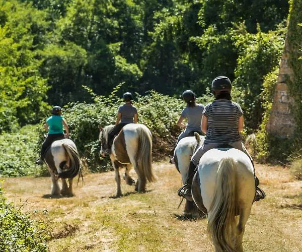 La Maison De L'orbiere Oda ve Kahvaltı Forcé