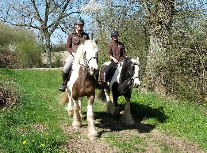 Oda ve Kahvaltı La Maison De L'orbiere Forcé